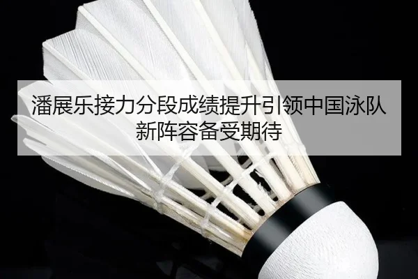 潘展乐接力分段成绩提升引领中国泳队新阵容备受期待 - AYXSPORTS